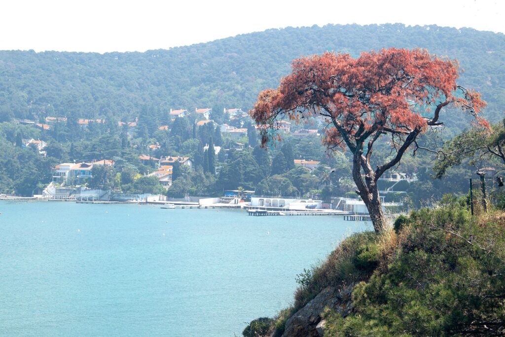 istanbul nature